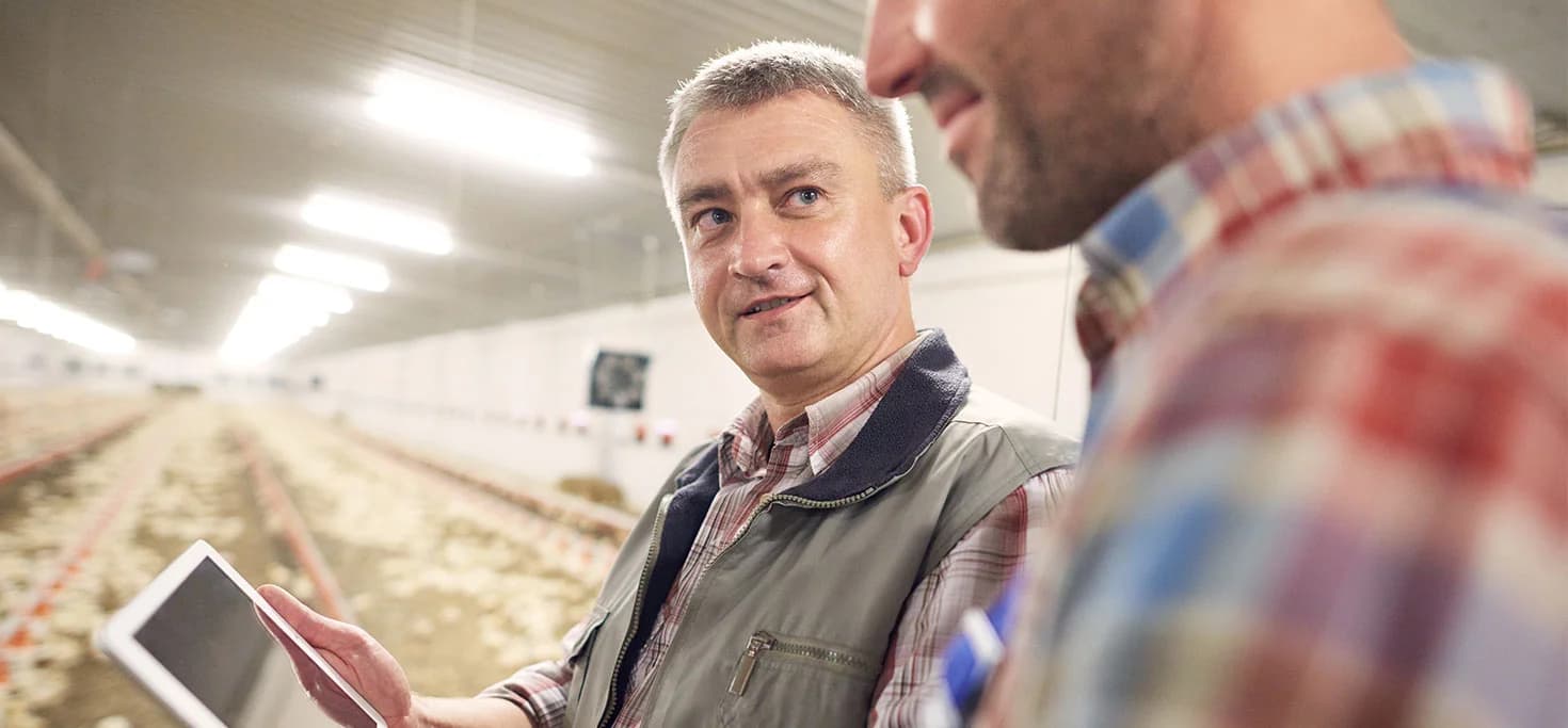 Auditeur en élevage